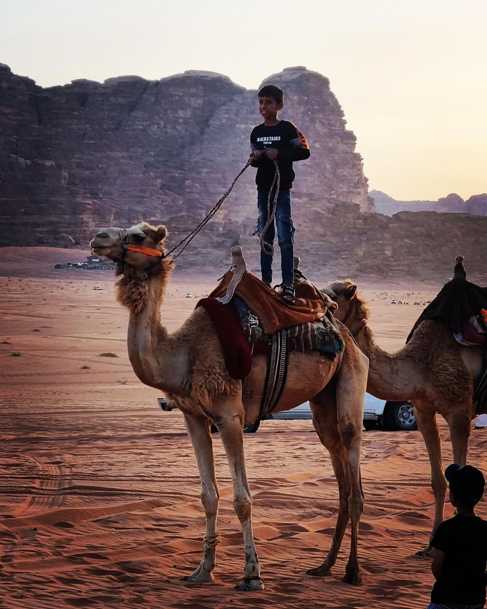 Desert Knights Camp Wadi Rum Exterior foto